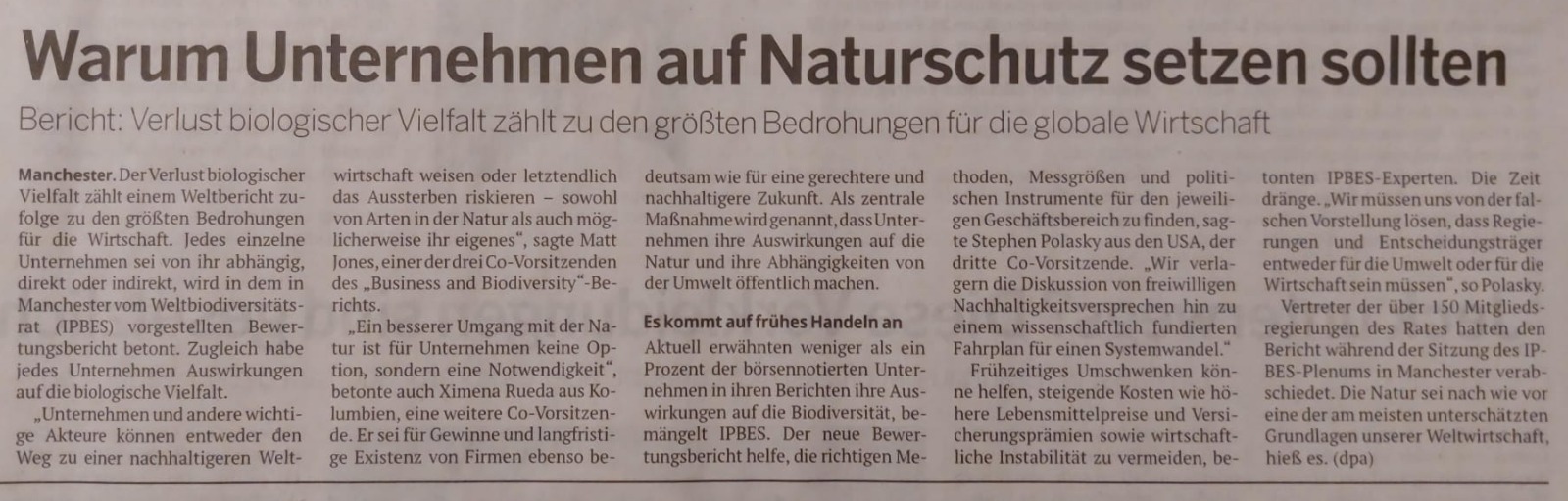 Zeitungsartikel: Warum Unternehmen auf Naturschutz setzen sollten