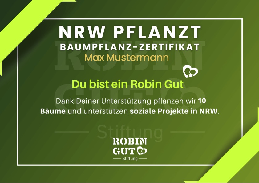 Robin Gut - Zertifikat